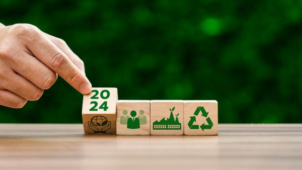 Blocos de madeira indicando a importância de dar atenção a sustentabilidade em 2024